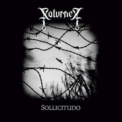 Sollicitudo