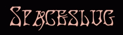 logo Spaceslug logo Spaceslug