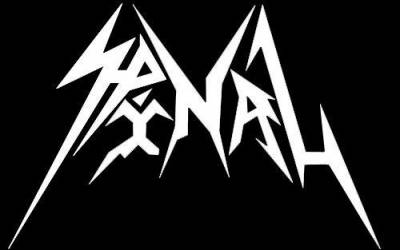 logo Spinal
