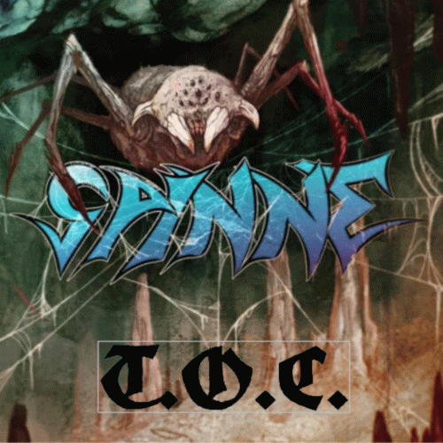 Spinne : T.O.C.
