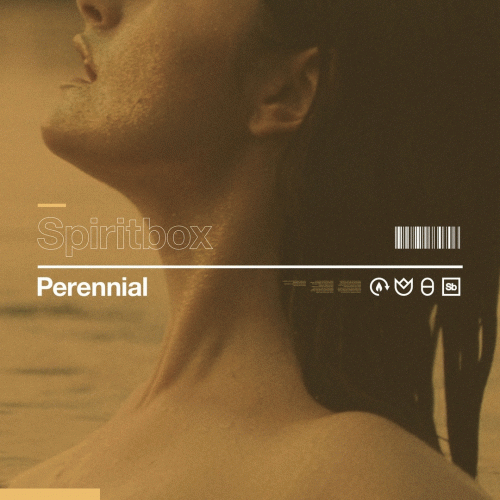 Spiritbox : Perennial