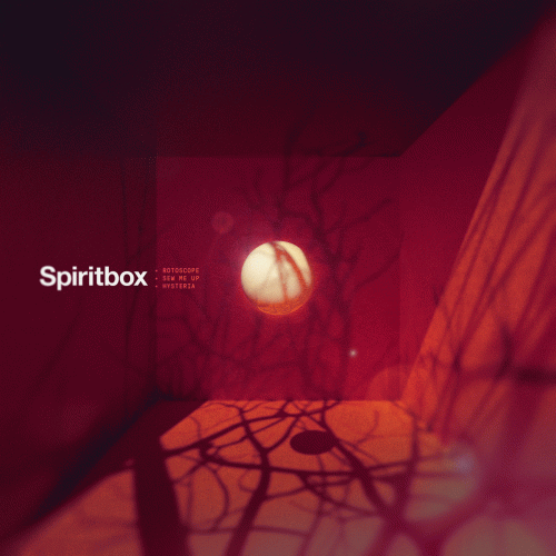 Spiritbox : Rotoscope
