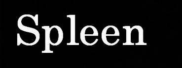 logo Spleen (SRB)