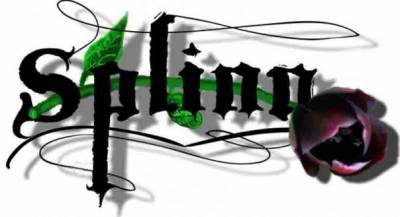 logo Splinn
