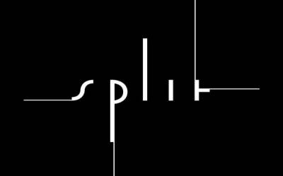 logo Split