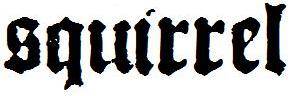 logo Squirrel