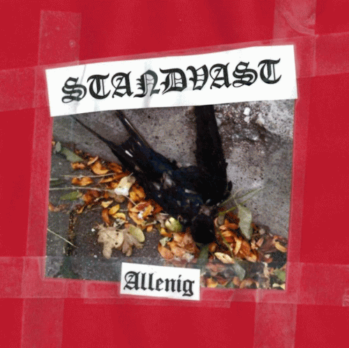 Standvast : Allenig