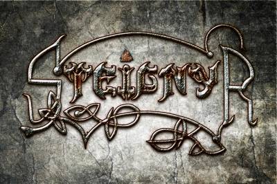 logo Steignyr logo Steignyr