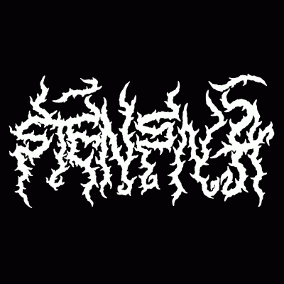 logo Stensna logo Stensna