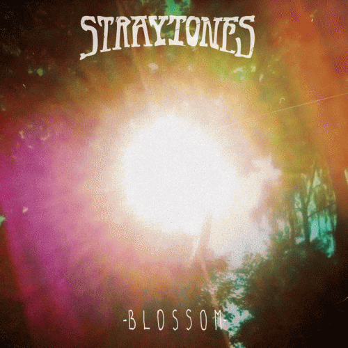 Straytones : Blossom