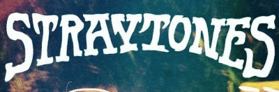 logo Straytones
