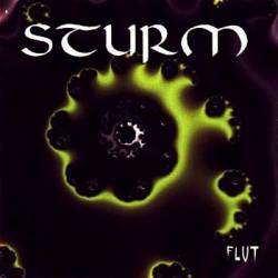Sturm : Flut