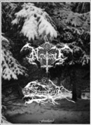 Sturmfolk : Frostland