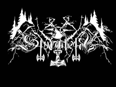 logo Sturmfolk