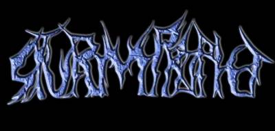 logo Sturmprophet