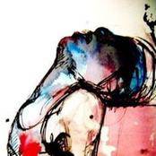 Stutterfly : Hollow Stutterfly : Hollow