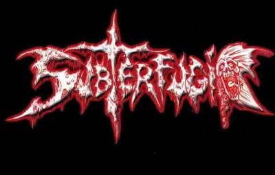 logo Subterfugio logo Subterfugio