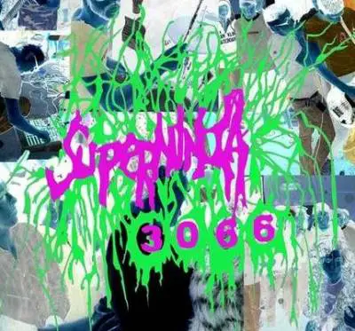 logo Superninja 3066