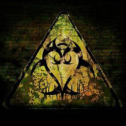 Sycamour : Crassinova