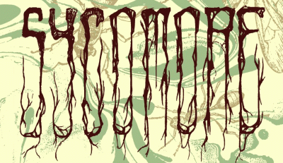 logo Sycomore logo Sycomore