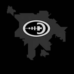 logo Synapscape logo Synapscape