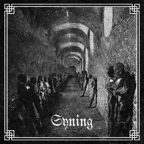 Syning : Syning