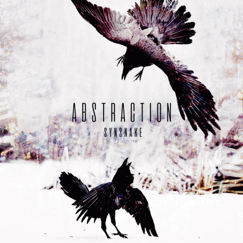 Synsnake : Abstraction Synsnake : Abstraction