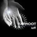 Taproot : Gift