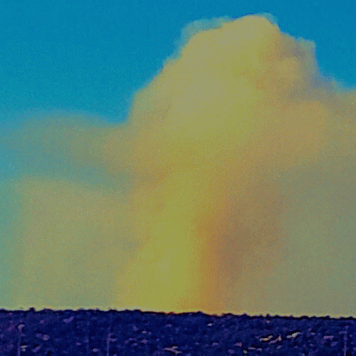 Taxpayer : NeoBabel--Ashes