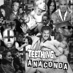 Teething : Anaconda