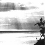 Temptamentum : Traenentanz Temptamentum : Traenentanz