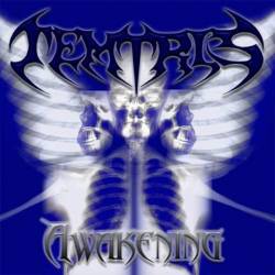 Temtris : Awakening