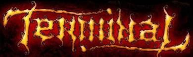 logo Terminal (USA)