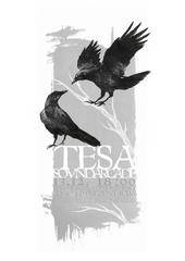 logo Tesa logo Tesa