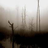 Tharaphita : Laukahaud