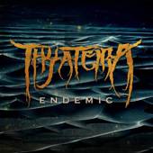 Thyateira : Endemic