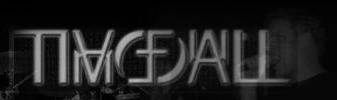 logo Timefall