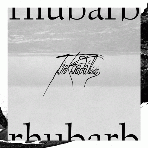 Tjaktjadálvve : Rhubarb