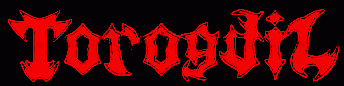 logo Torogdil