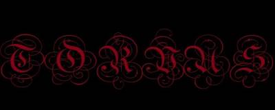 logo Torvus logo Torvus