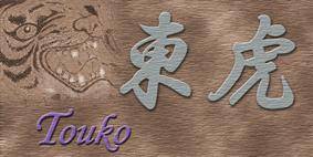 logo Touko