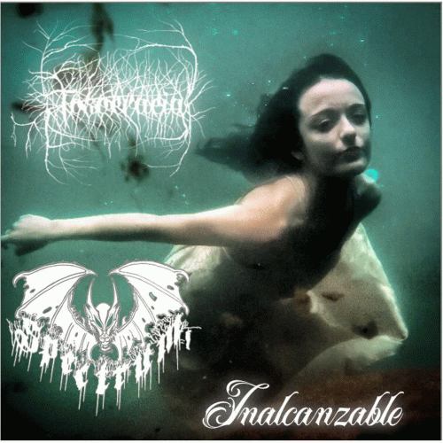 Toxocracia : Inalcanzable