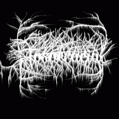 logo Toxocracia