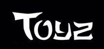 logo Toyz