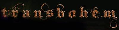logo Transbohêm