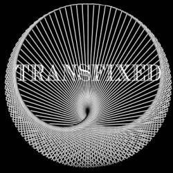 Transfixed : Pieces