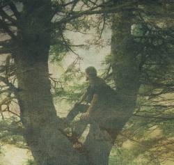 Trees Clouds And Silence Discography Line Up Biography Interviews Photos spirit of metal