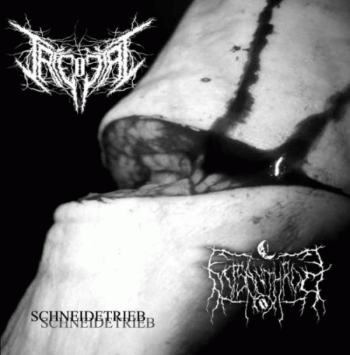 Triebtat : Schneidetrieb