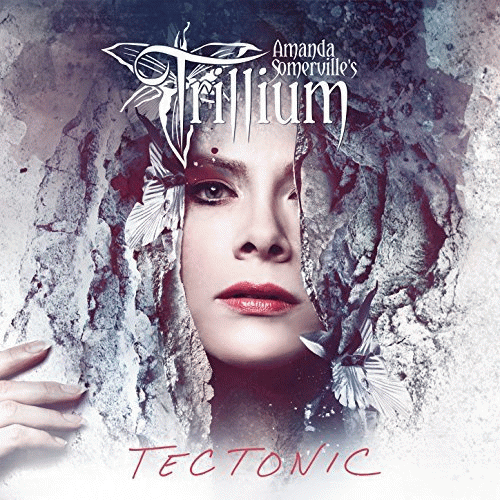 Trillium : Tectonic