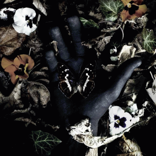 TripSitter : Metamørphose